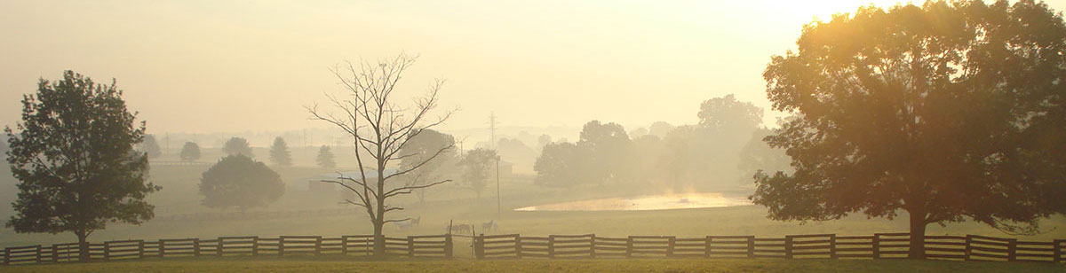 Ironstone Spring Farm